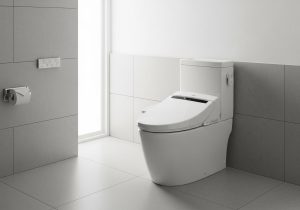 Quels sont les avantages et les inconvénients des WC japonais ?